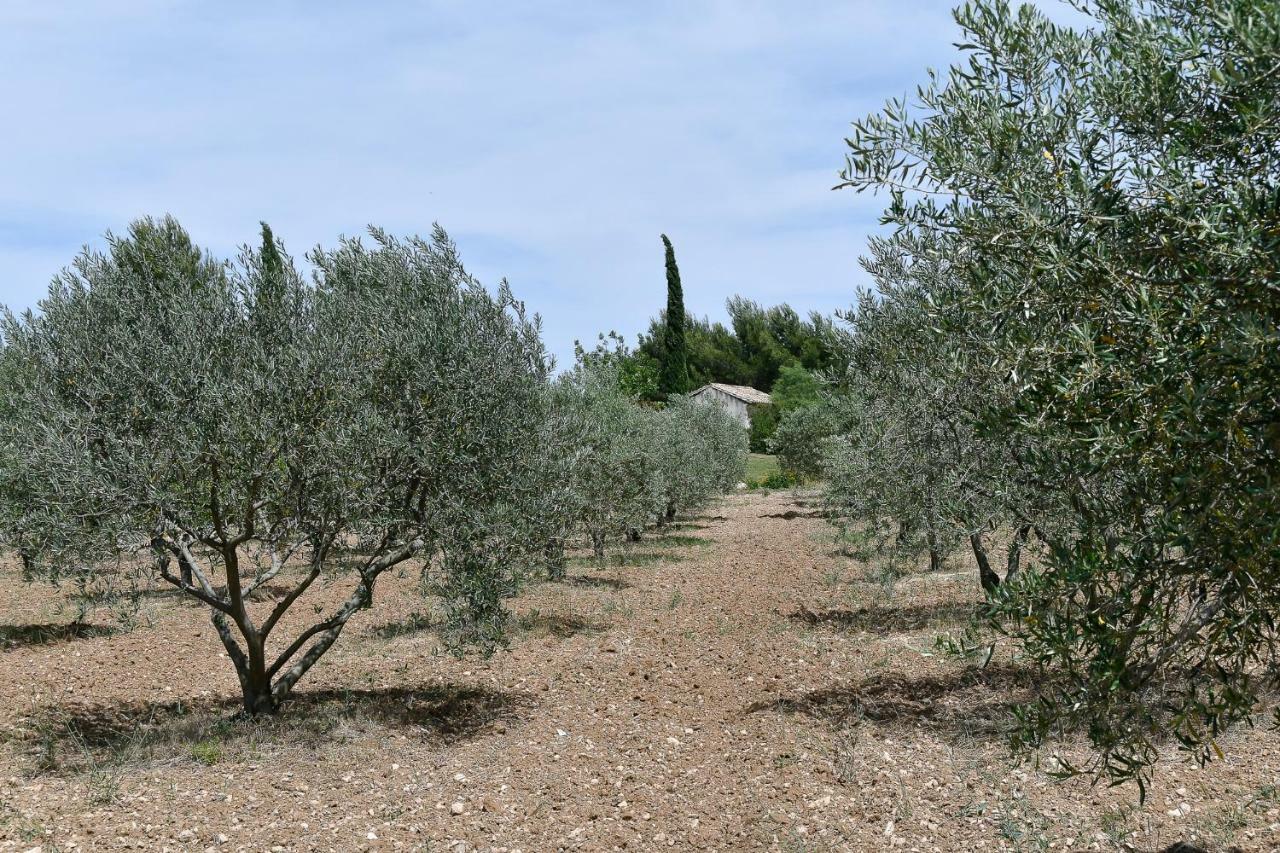 Le Mas Des Genets Saint-Remy-de-Provence Luaran gambar